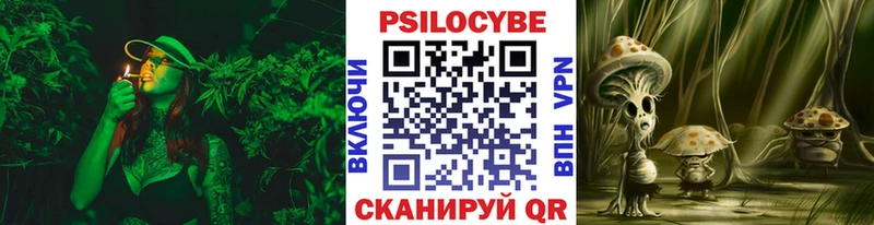 купить сайты ОМГ ОМГ ONION Галлюциногенные грибы Magic Shrooms Отрадное